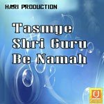 Tasmye Shri Guru Be Namah - Santi Kunj Song Download